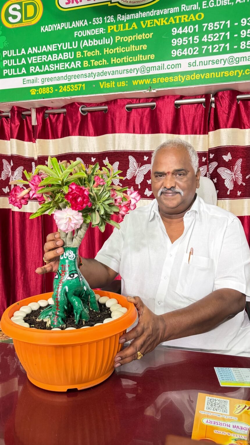 Pulla Anjaneyulu