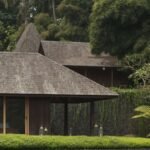 ARCH Consultancy